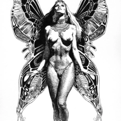 Midnight Angel